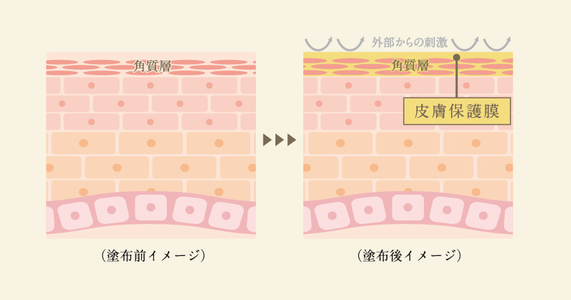 角質層に浸透
